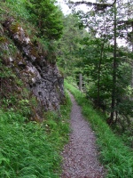 IMG_6101.jpg, 45kB